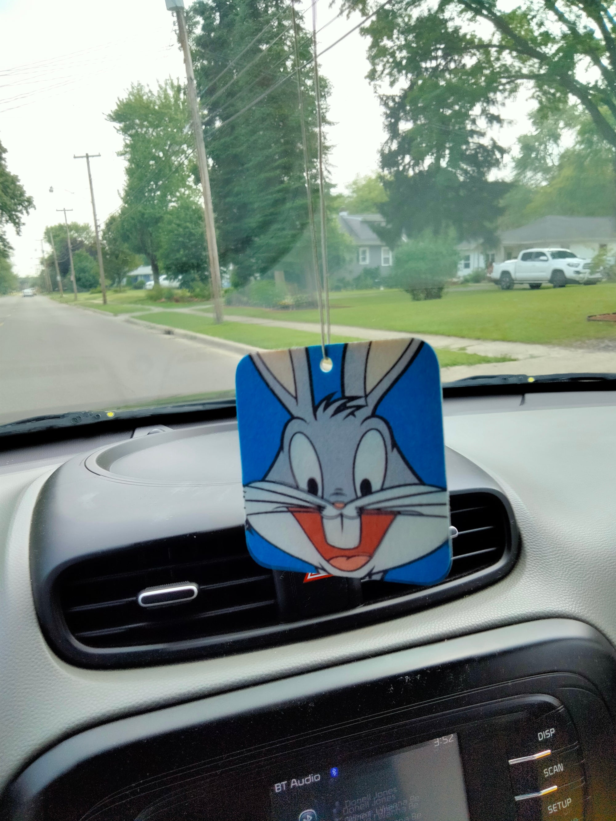 Custom Car Air Fresheners